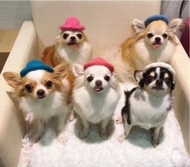 TP钱包app官网