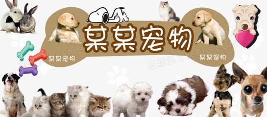 比特币交易im怎么登录不了
