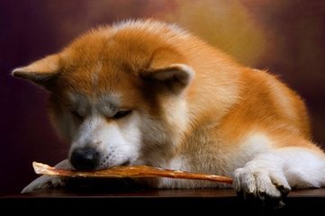 tokenpocket安装失败