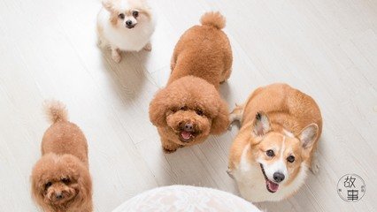 usdt钱包注册流程教程