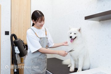 okpay官方下载安装