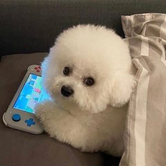tokenpocket转账要收费吗