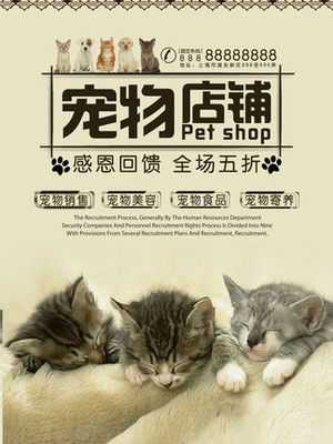 虚拟币手机app钱包下载
