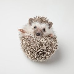 imtoken最新版本