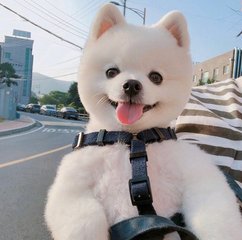 detoken钱包下载