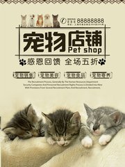 ADA钱包app官网下载